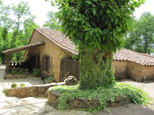 El Castañar de Aracena (Huelva). Fuente: Escapadarural.com